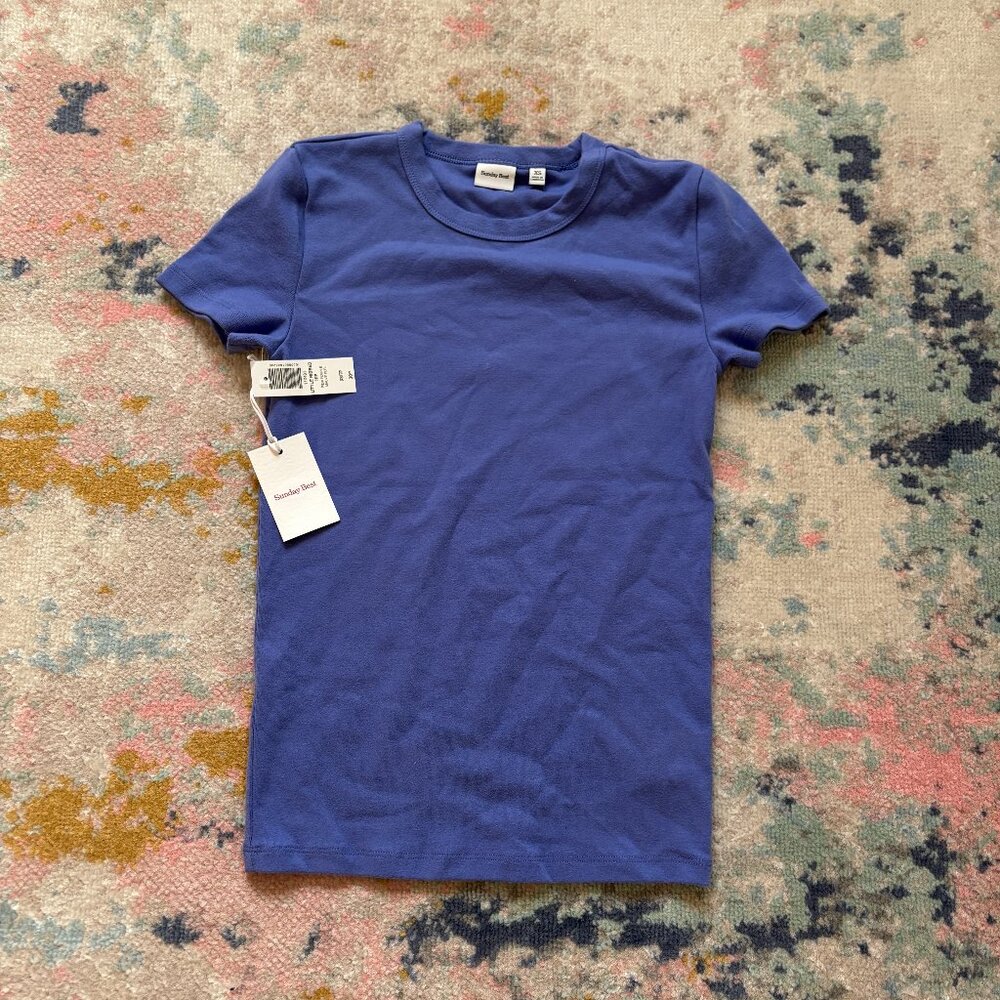 Aritzia Sunday Best Little Ribbed Tee – Perri Purple (NWT, XS)
